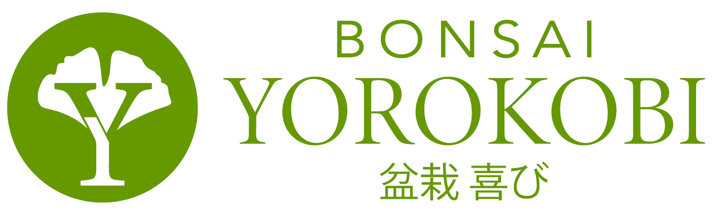 Bonsai Yorokobi